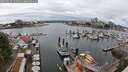 ./images/victoria/wharf/20250617/wharf20250617_134010M.jpg