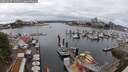 ./images/victoria/wharf/20250617/wharf20250617_134511M.jpg