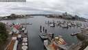 ./images/victoria/wharf/20250617/wharf20250617_135010M.jpg