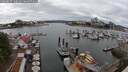 ./images/victoria/wharf/20250617/wharf20250617_140011M.jpg