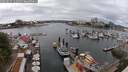 ./images/victoria/wharf/20250617/wharf20250617_141011M.jpg
