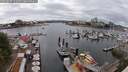 ./images/victoria/wharf/20250617/wharf20250617_141511M.jpg