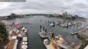 ./images/victoria/wharf/20250617/wharf20250617_143011M.jpg