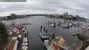 ./images/victoria/wharf/20250617/wharf20250617_144010M.jpg
