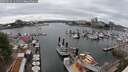 ./images/victoria/wharf/20250617/wharf20250617_144512M.jpg