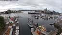 ./images/victoria/wharf/20250617/wharf20250617_150509M.jpg