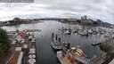 ./images/victoria/wharf/20250617/wharf20250617_151011M.jpg