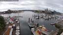 ./images/victoria/wharf/20250617/wharf20250617_151511M.jpg