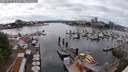 ./images/victoria/wharf/20250617/wharf20250617_152510M.jpg