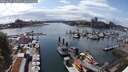 ./images/victoria/wharf/20250617/wharf20250617_160509M.jpg