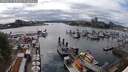 ./images/victoria/wharf/20250617/wharf20250617_165010M.jpg