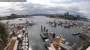 ./images/victoria/wharf/20250617/wharf20250617_170511M.jpg