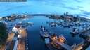 ./images/victoria/wharf/20250618/wharf20250618_045009M.jpg