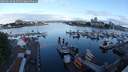 ./images/victoria/wharf/20250618/wharf20250618_062511M.jpg