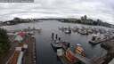 ./images/victoria/wharf/20250618/wharf20250618_074010M.jpg