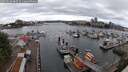 ./images/victoria/wharf/20250618/wharf20250618_080511M.jpg