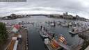 ./images/victoria/wharf/20250618/wharf20250618_084510M.jpg