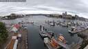 ./images/victoria/wharf/20250618/wharf20250618_085011M.jpg
