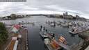 ./images/victoria/wharf/20250618/wharf20250618_085510M.jpg