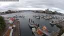 ./images/victoria/wharf/20250618/wharf20250618_090012M.jpg