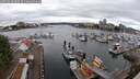 ./images/victoria/wharf/20250618/wharf20250618_090508M.jpg