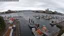 ./images/victoria/wharf/20250618/wharf20250618_101511M.jpg
