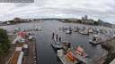 ./images/victoria/wharf/20250618/wharf20250618_104010M.jpg