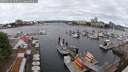 ./images/victoria/wharf/20250618/wharf20250618_105011M.jpg