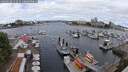 ./images/victoria/wharf/20250618/wharf20250618_111010M.jpg