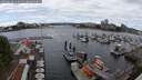 ./images/victoria/wharf/20250618/wharf20250618_114010M.jpg
