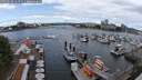 ./images/victoria/wharf/20250618/wharf20250618_114512M.jpg