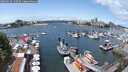./images/victoria/wharf/20250618/wharf20250618_130509M.jpg