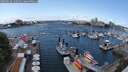 ./images/victoria/wharf/20250618/wharf20250618_132510M.jpg