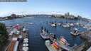 ./images/victoria/wharf/20250618/wharf20250618_133011M.jpg
