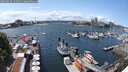 ./images/victoria/wharf/20250618/wharf20250618_141511M.jpg