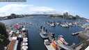 ./images/victoria/wharf/20250618/wharf20250618_142508M.jpg