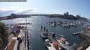 ./images/victoria/wharf/20250618/wharf20250618_163510M.jpg