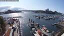 ./images/victoria/wharf/20250618/wharf20250618_164511M.jpg
