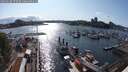 ./images/victoria/wharf/20250618/wharf20250618_173509M.jpg