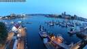 ./images/victoria/wharf/20250619/wharf20250619_045010M.jpg