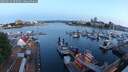 ./images/victoria/wharf/20250619/wharf20250619_050509M.jpg