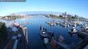 ./images/victoria/wharf/20250619/wharf20250619_071510M.jpg