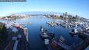 ./images/victoria/wharf/20250619/wharf20250619_072010M.jpg