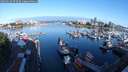 ./images/victoria/wharf/20250619/wharf20250619_072510M.jpg