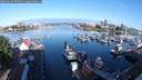 ./images/victoria/wharf/20250619/wharf20250619_075010M.jpg