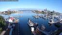 ./images/victoria/wharf/20250619/wharf20250619_080012M.jpg