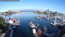 ./images/victoria/wharf/20250619/wharf20250619_081509M.jpg