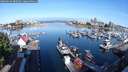 ./images/victoria/wharf/20250619/wharf20250619_082008M.jpg