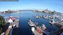 ./images/victoria/wharf/20250619/wharf20250619_085509M.jpg