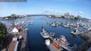 ./images/victoria/wharf/20250619/wharf20250619_093011M.jpg